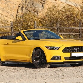 Ford Mustang - авто на весілля у Києві - портфоліо 1