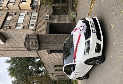 Станислав Skoda - фото 2