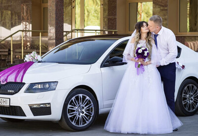 Станислав Skoda - фото 1