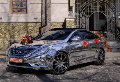 Александр ЭКСКЛЮЗИВНАЯ ЗЕРКАЛЬНАЯ HYUNDAI SONATA YF - фото 1