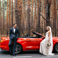 Сергей Киселев - фотограф у Кременчуці - фото 2