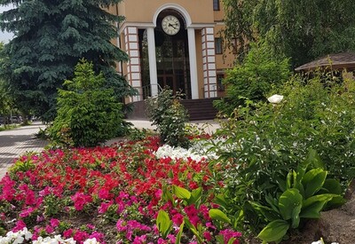 Городской ЗАГС Вишнёвое - фото 1
