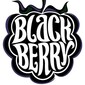 BlackBerry Band