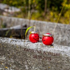 Валерій Дубчук - фотограф у Києві - фото 4