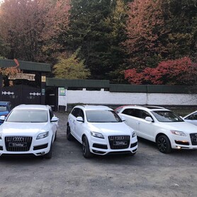 Audi Q7 - авто на весілля у Мукачеві - портфоліо 3