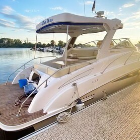 Чартерний катер Silver Craft 37 - авто на весілля у Києві - портфоліо 1