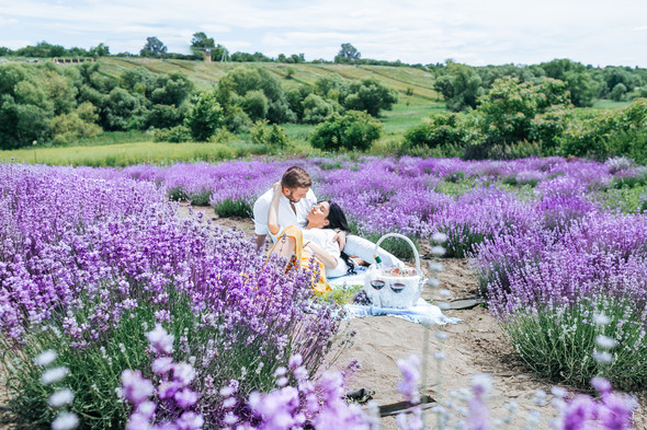 Day in Lavender - фото №22