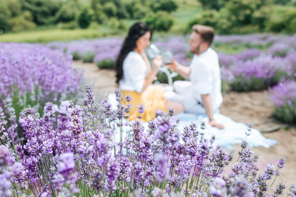 Day in Lavender - фото №29