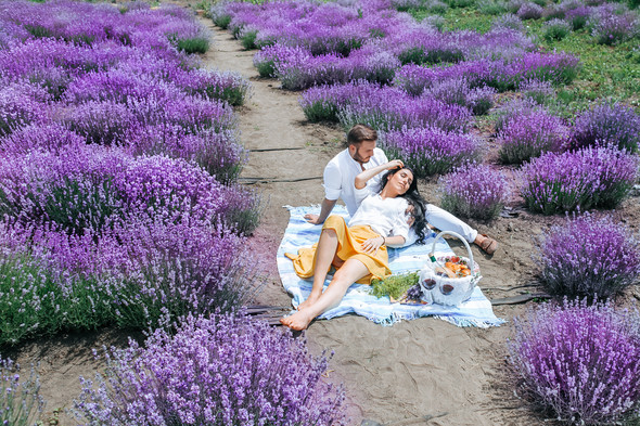 Day in Lavender - фото №20