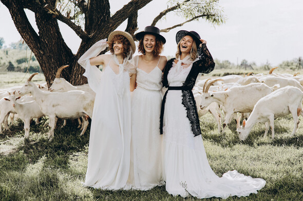 AMISH WEDDING - фото №10
