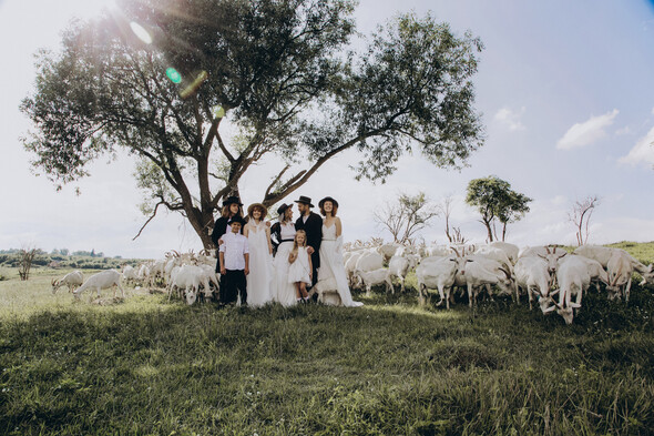 AMISH WEDDING - фото №12