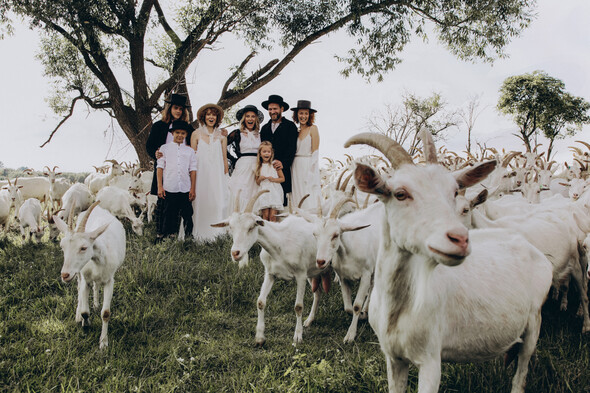AMISH WEDDING - фото №13
