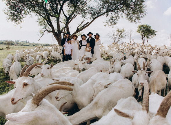 AMISH WEDDING - фото №14