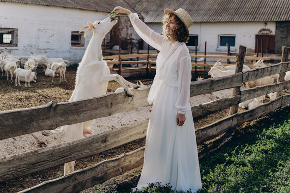 AMISH WEDDING - фото №23