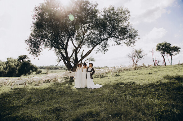 AMISH WEDDING - фото №11