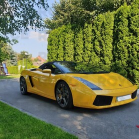 Lamborghini Gallardo - авто на весілля у Києві - портфоліо 3