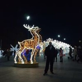 Андрей Винницкий