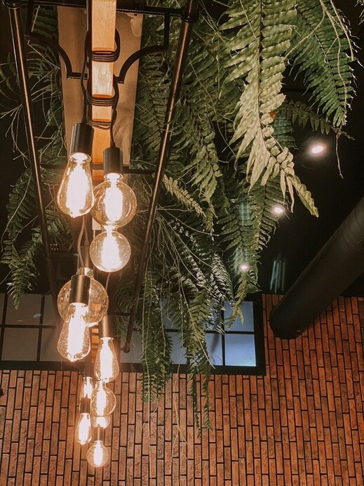 LES Green Lounge