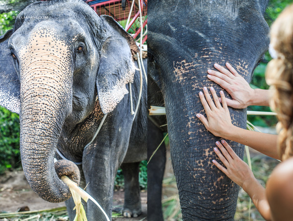 Тока+Оля - фото №9