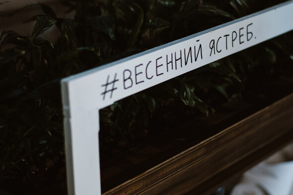 #Весенний ястреб - фото №8