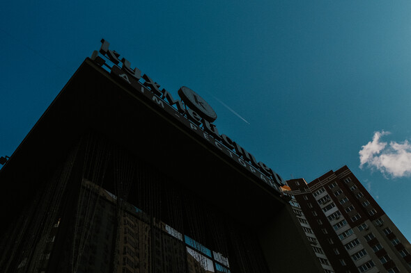 #Весенний ястреб - фото №7