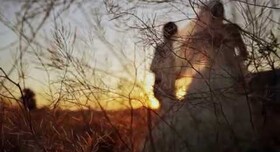 Свадебное агентство "True Love" - весільна агенція у Києві - фото 1