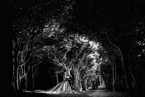 Wedding in Helsingborg, Sweden (Iryna & Senad) - фото №47
