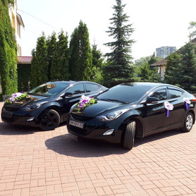  - авто на весілля у Сумах - портфоліо 2