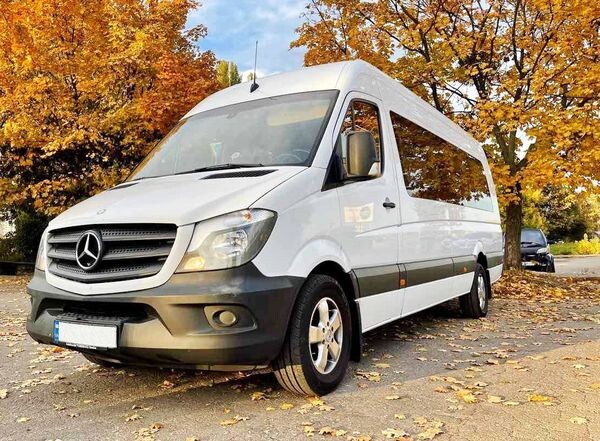134 Мікроавтобус Mercedes Sprinter 21 місце 