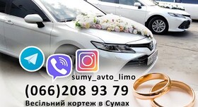 Тойота Камри белая - авто на весілля у Сумах - портфоліо 1
