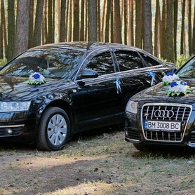 Ауди А6 чорні-3 шт - авто на весілля у Сумах - портфоліо 4