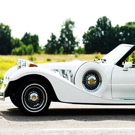 239 Ретро кабріолет білий Mitsuoka Dore - авто на весілля у Києві - портфоліо 5