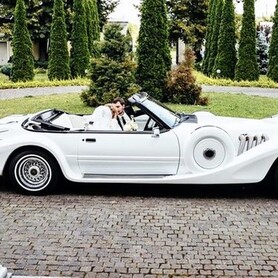 239 Ретро кабріолет білий Mitsuoka Dore - авто на весілля у Києві - портфоліо 4