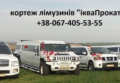Давід Лімузини - фото 2