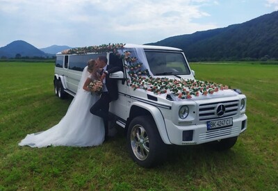 Давід Лімузин - фото 1