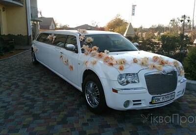 Давід Лімузин - фото 3
