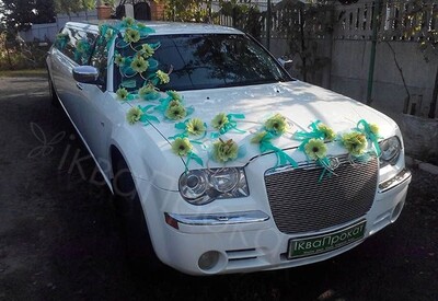 Давід Лімузини - фото 3