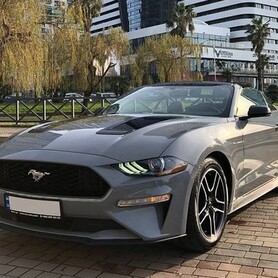 027 Прокат кабріолет Ford Mustang GT сірий - авто на весілля у Києві - портфоліо 3