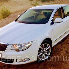 Skoda Superb white 4X4 - авто на весілля у Дніпрі - портфоліо 1