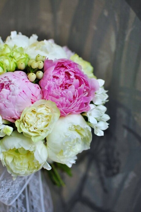 Bloom Day