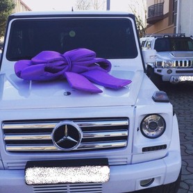 Mercedes G-class (кубик) Чорний і Білий - авто на весілля у Хусті - портфоліо 2