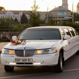 Свадебный Кортеж прокат Авто - авто на весілля у Сумах - портфоліо 5
