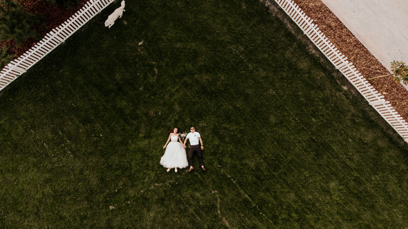 Retriver Wedding - фото №146