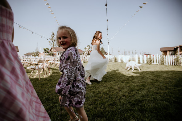 Retriver Wedding - фото №82