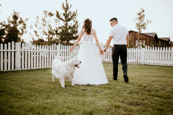 Retriver Wedding - фото №150