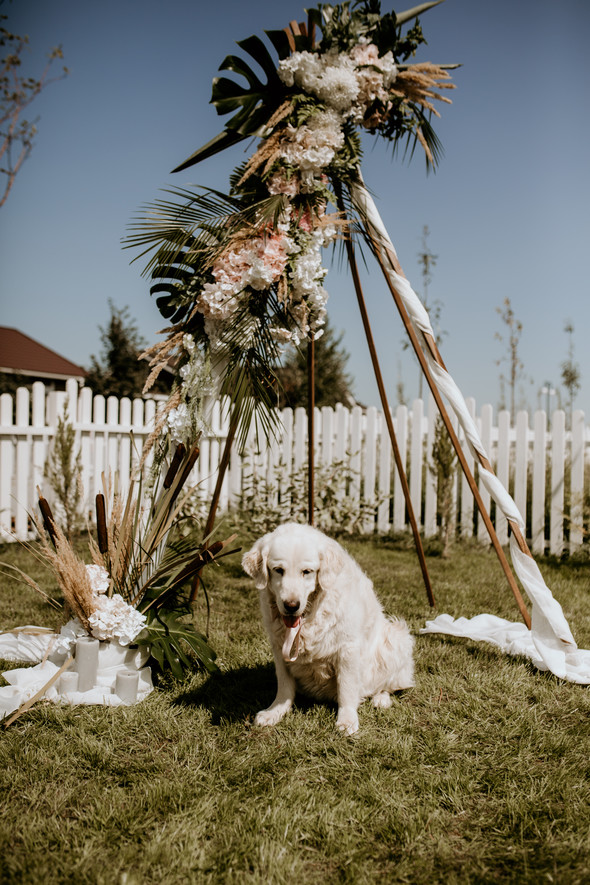 Retriver Wedding - фото №27