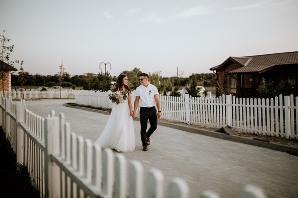 Retriver Wedding - фото №153