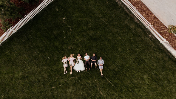 Retriver Wedding - фото №147