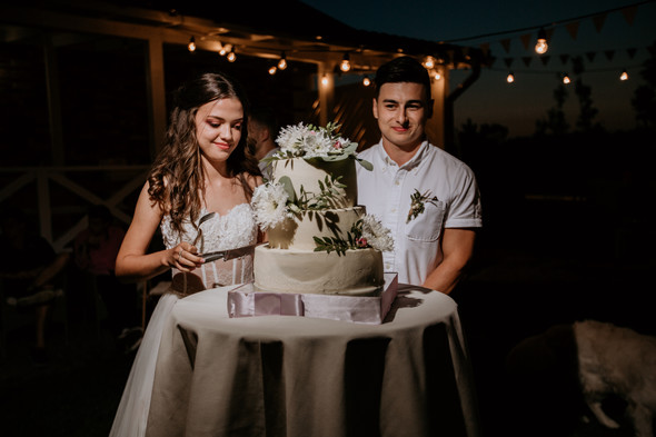 Retriver Wedding - фото №165