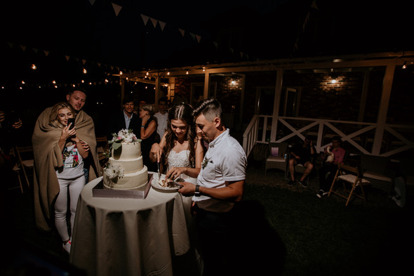 Retriver Wedding - фото №167